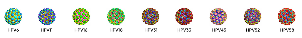 Hpv expand
